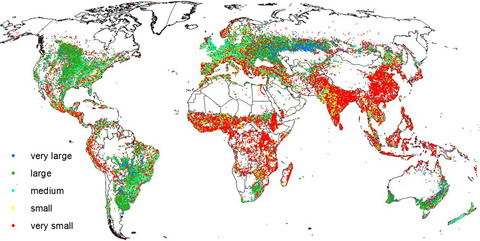Estimating the global distribution of field size using crowdsourcing