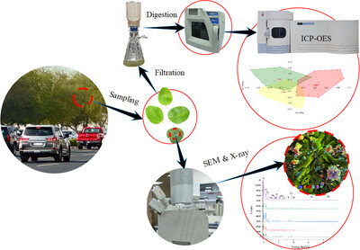 Heavy Metals in Foliar Dust: Utilizing Ziziphus spina-christi Leaves in Estimating Levels of Vehicular Pollution