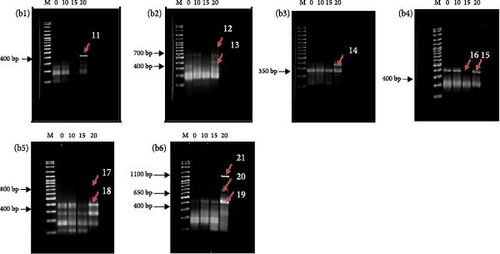 Details are in the caption following the image Details are in the caption following the image