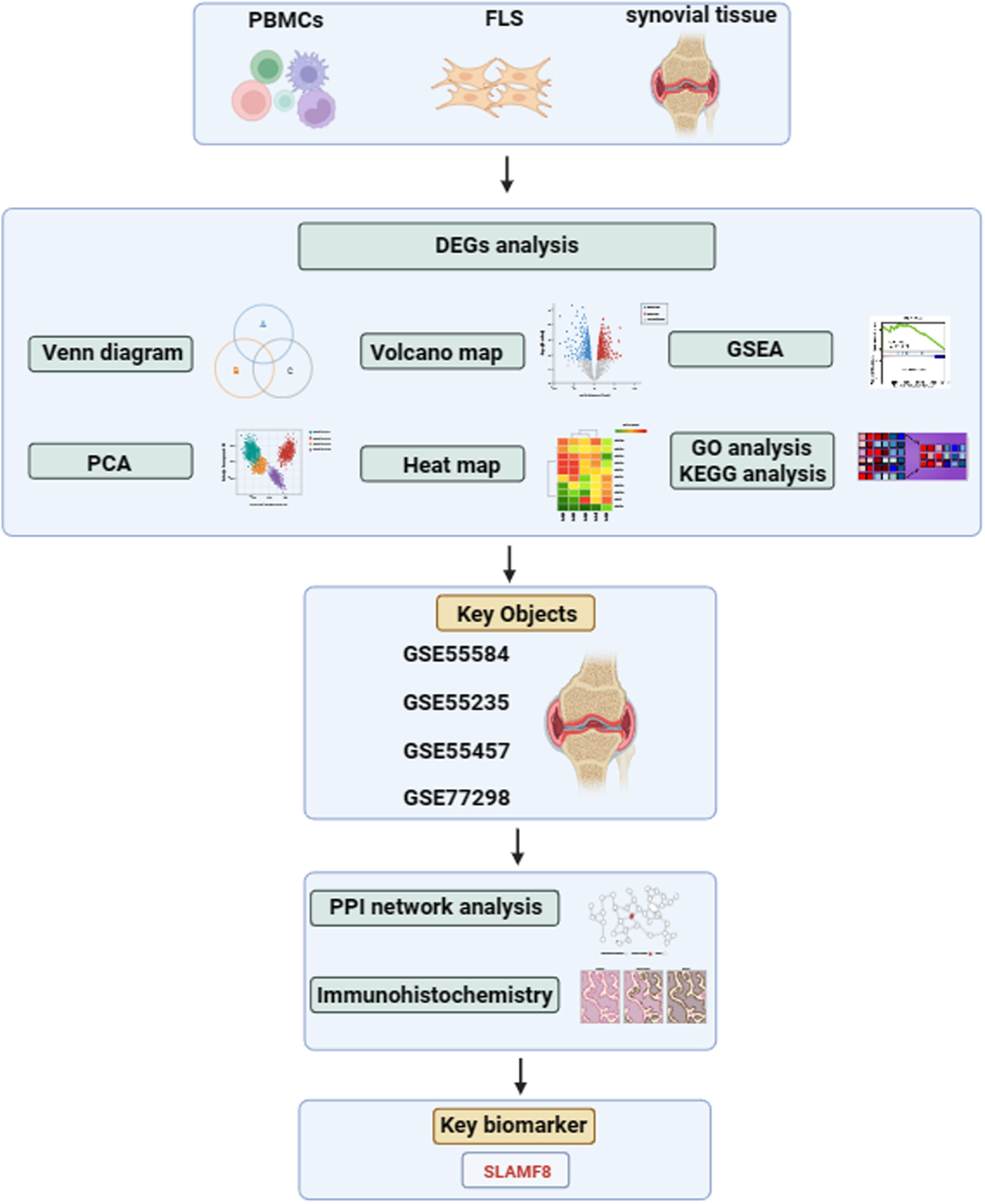 SLAMF8 as a potential biomarker for rheumatoid arthritis identified by comparing peripheral blood mononuclear cells, fibroblast-like synoviocytes, and synovial tissue using bioinformatics analysis