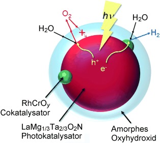 A Complex Perovskite-Type Oxynitride: The First Photocatalyst for Water Splitting Operable at up to 600 nm