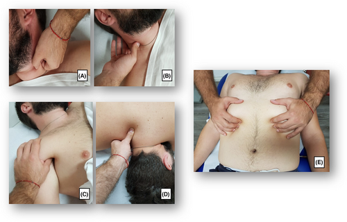 Details are in the caption following the image Details are in the caption following the image