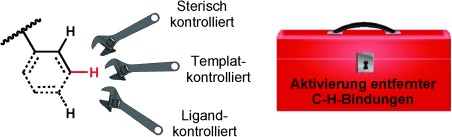 Regioselektive katalytische Funktionalisierung von entfernten C-H-Bindungen