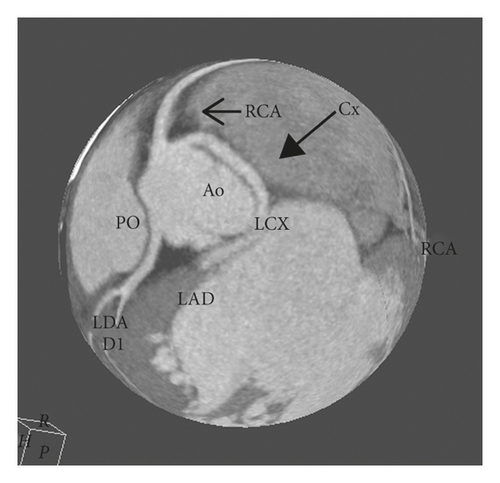 Details are in the caption following the image Details are in the caption following the image