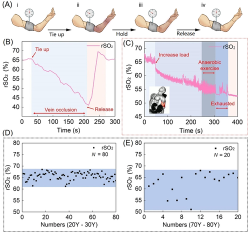 Details are in the caption following the image Details are in the caption following the image