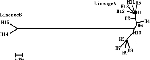 Details are in the caption following the image