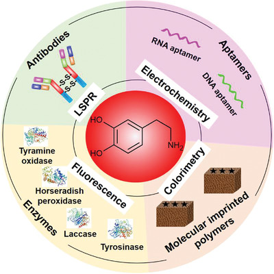 Biosensors and sensors for dopamine detection Issue 1, 2021