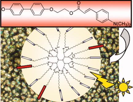 Liquid crystalline dendrimers containing photoactive cinnamate units