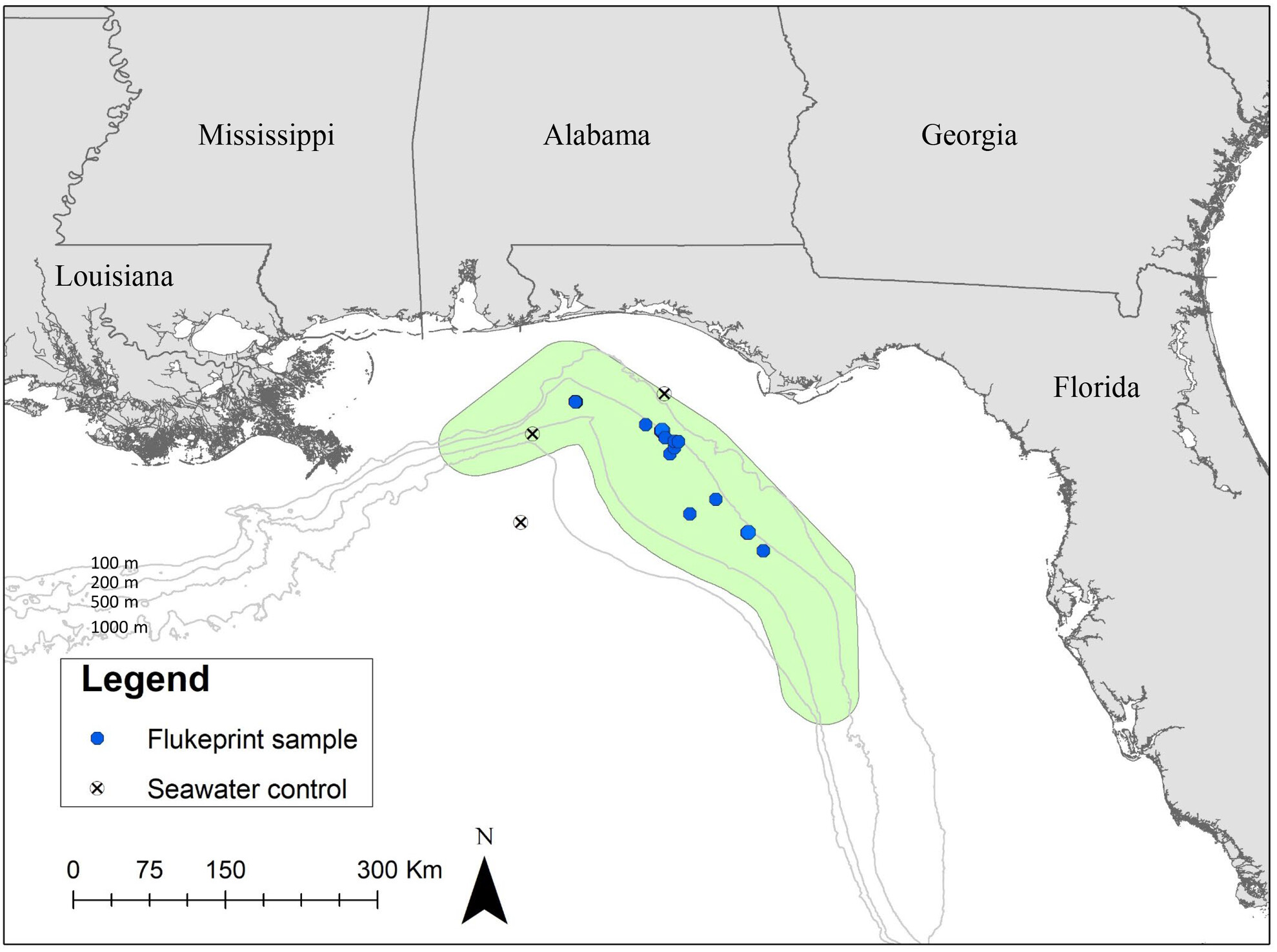 Validated Environmental DNA Assay for Detection of the Rare Rice's Whale (Balaenoptera ricei)