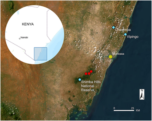 Details are in the caption following the image Details are in the caption following the image
