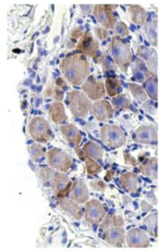 Details are in the caption following the image