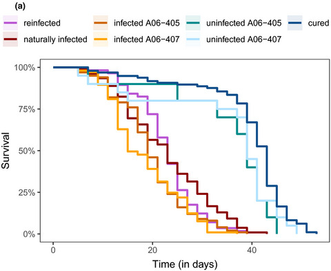 Similar cost of Hamiltonella defensa in experimental and natural aphid-endosymbiont associations