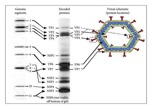 Details are in the caption following the image Details are in the caption following the image