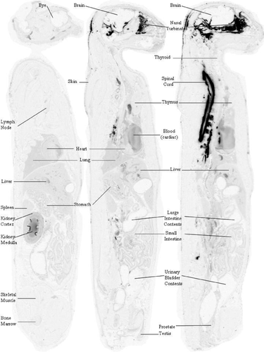 Details are in the caption following the image Details are in the caption following the image