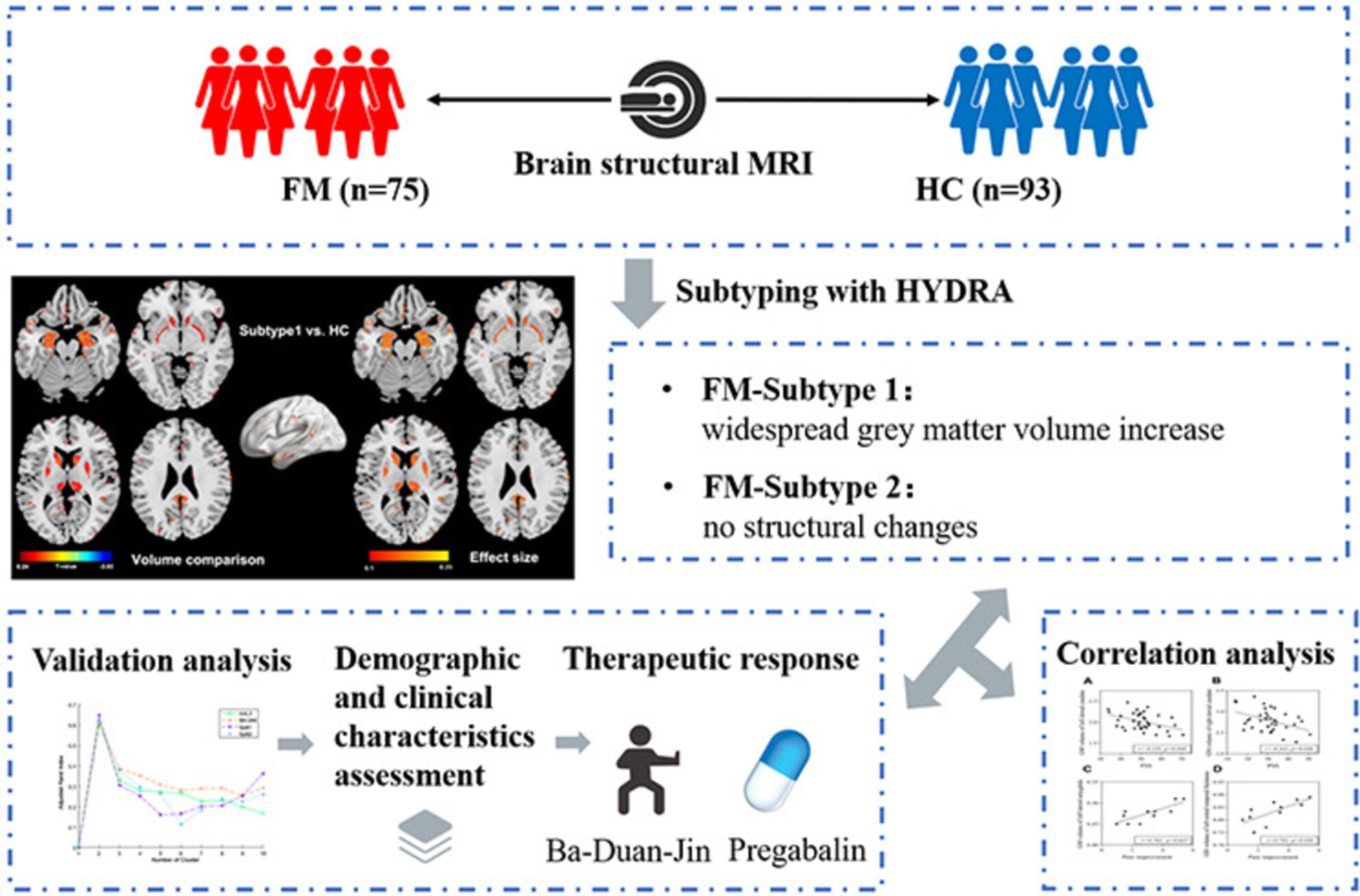 Two Neuroanatomical Subtypes in Fibromyalgia Patients: Distinct Morphological Patterns and Treatment Outcomes