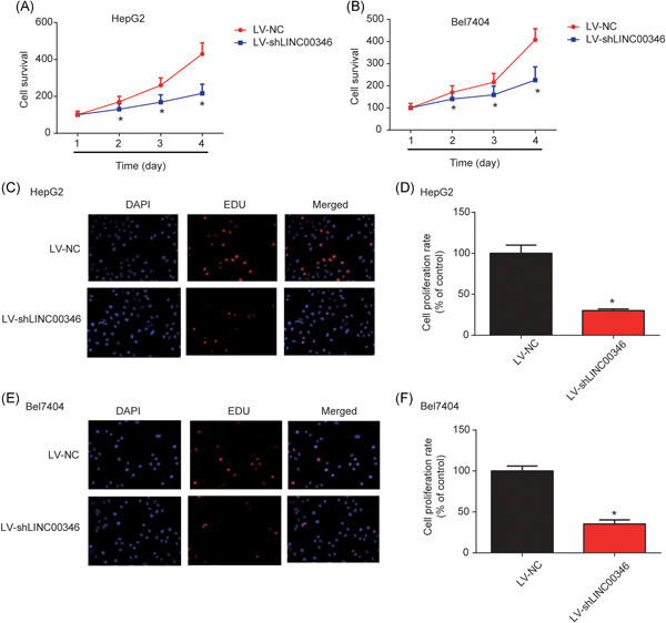 LINC00346 promotes hepatocellular carcinoma progression via activating the JAK-STAT3 signaling pathway
