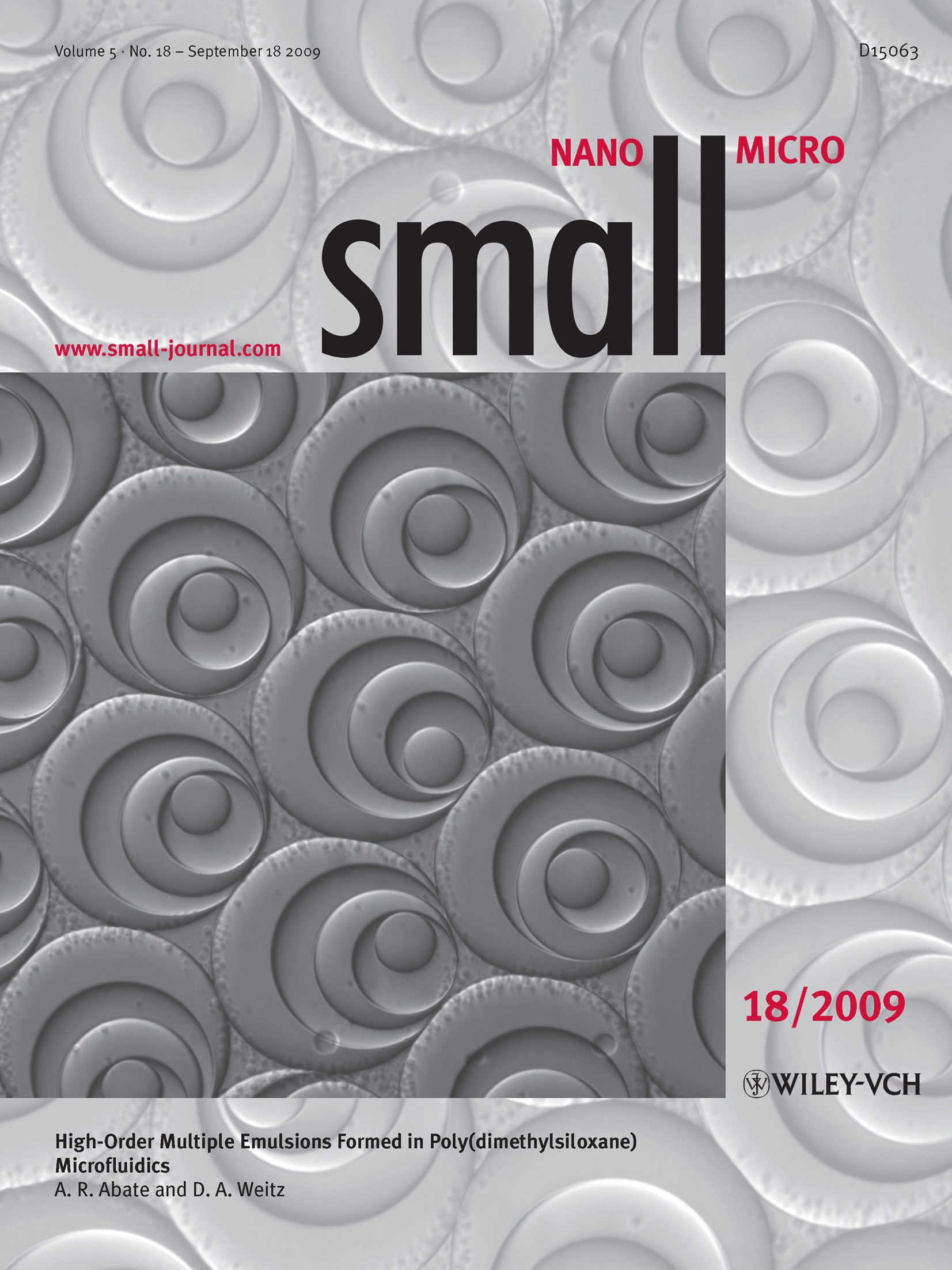Multiple emulsions: Small 18/2009