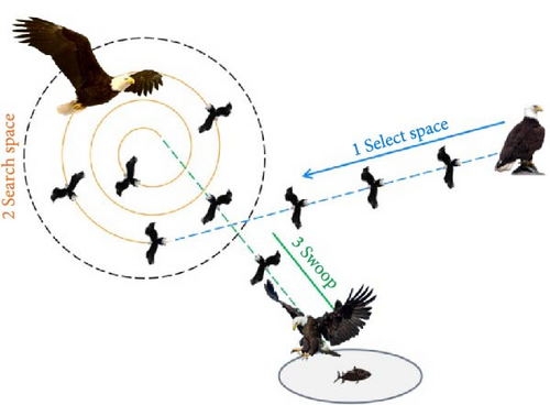 Details are in the caption following the image
