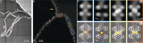 Details are in the caption following the image Details are in the caption following the image