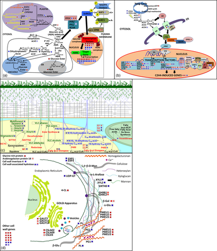 Details are in the caption following the image Details are in the caption following the image
