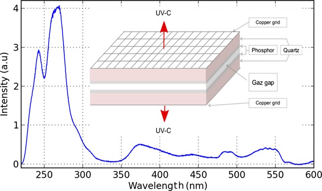 Decontamination Efficiency of a DBD Lamp Containing an UV–C Emitting Phosphor