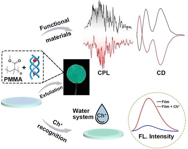 Incorporation of an Anion-Coordinated Triple Helicate into a Thin Film for Choline Recognition in an Aqueous System