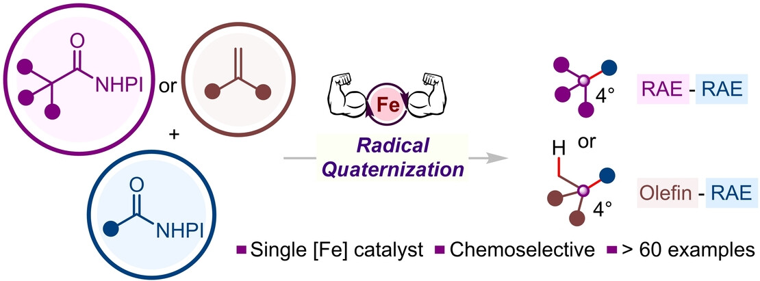 Cost-Effective Carbon Quaternization with Redox-Active Esters and Olefins