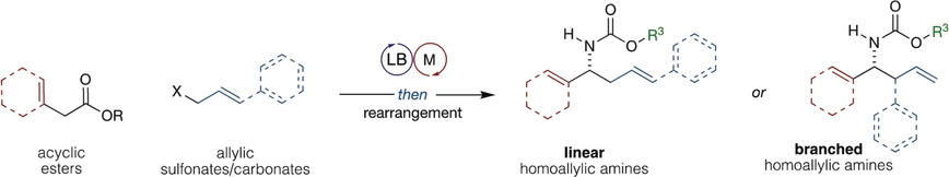 A Regio- and Stereodivergent Synthesis of Homoallylic Amines by a One-Pot Cooperative-Catalysis-Based Allylic Alkylation/Hofmann Rearrangement Strategy