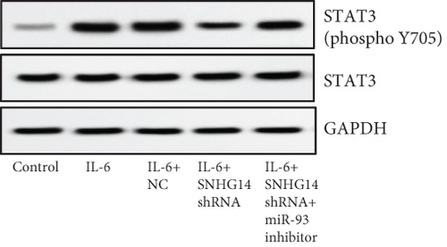 Details are in the caption following the image