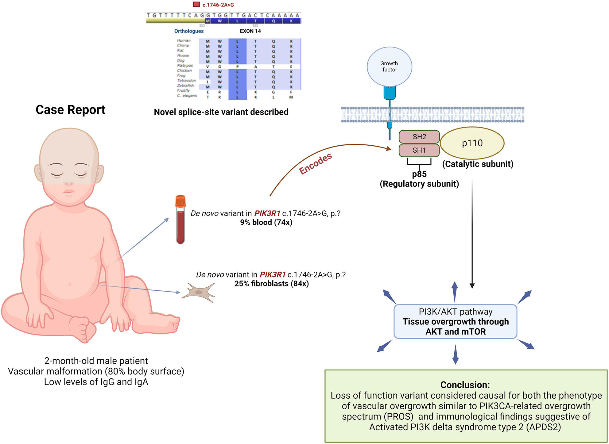 A somatic splice-site variant in PIK3R1 in a patient with vascular overgrowth and low immunoglobulin levels: A case report
