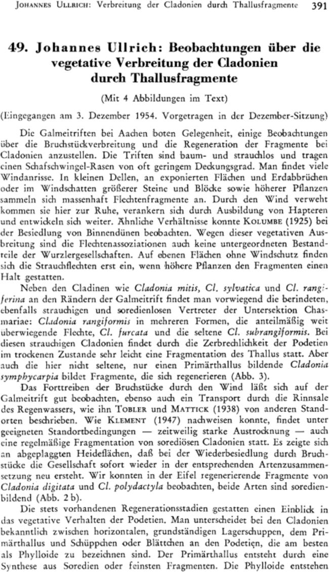 First page image