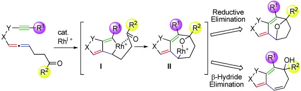 Rhodium(I)-Catalyzed Cyclization of Allenynes with a Carbonyl Group through Unusual Insertion of a CO Bond into a Rhodacycle Intermediate