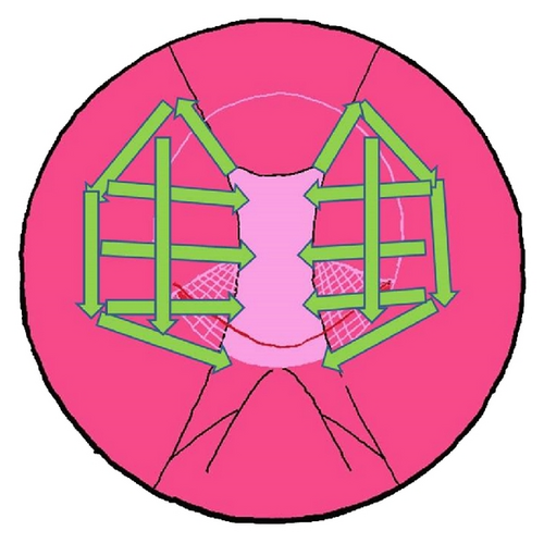 Details are in the caption following the image