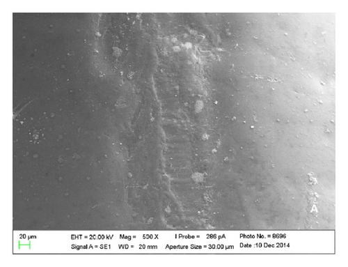Details are in the caption following the image
