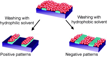 Site-Selective Integration of Monolayer-Protected Inorganic Nanoparticles onto Surface Monolayer Templates by a Solvent-Induced Lift-Off Process