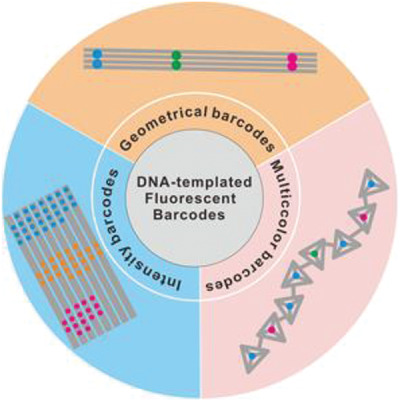 DNA nanostructure-encoded fluorescent barcodes Issue 1, 2020