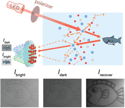 Metalens-Assisted System for Underwater Imaging