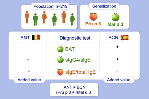 Performance of basophil activation test and specific IgG4 as diagnostic tools in nonspecific lipid transfer protein allergy: Antwerp-Barcelona comparison
