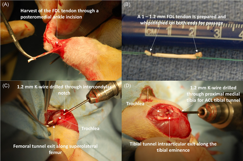Details are in the caption following the image Details are in the caption following the image