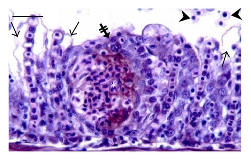 Details are in the caption following the image