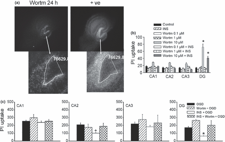 Details are in the caption following the image Details are in the caption following the image
