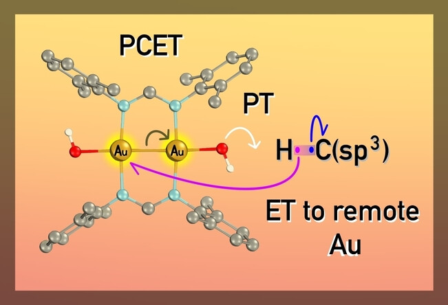 Valence Tautomerism Induced Proton Coupled Electron Transfer:X−H Bond Oxidation with a Dinuclear Au(II) Hydroxide Complex