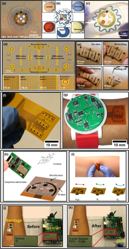 Details are in the caption following the image Details are in the caption following the image