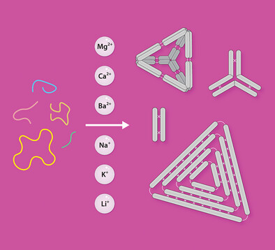 Self-Assembly of DNA Nanostructures in Different Cations