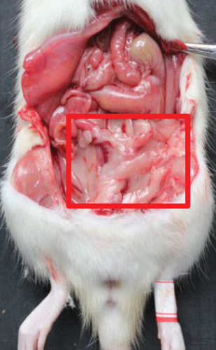 Details are in the caption following the image Details are in the caption following the image