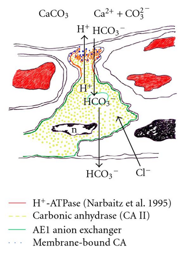 Details are in the caption following the image