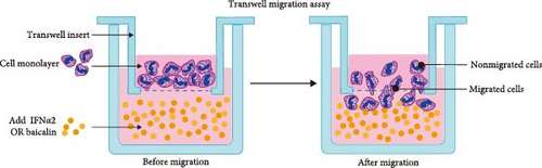 Details are in the caption following the image