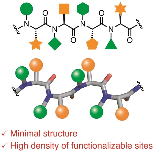 Oligo(N-methylalanine) as a Peptide-Based Molecular Scaffold with a Minimal Structure and High Density of Functionalizable Sites