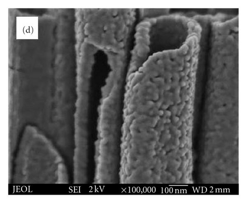 Details are in the caption following the image
