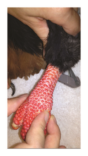 Details are in the caption following the image Details are in the caption following the image